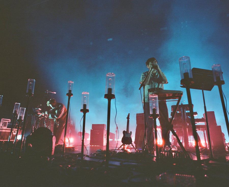 PROJECT // GRIZZLY BEAR